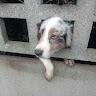 user_castpvyg4awmv6x4 member profile picture