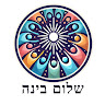 תמונת הסופר/ת: shalom bina