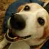 user_6qyqtr5p31zt5fdo member profile picture