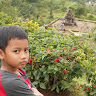 abdul malik