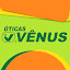 Oticas Venus (Owner)