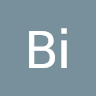Bi Sarang