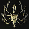 seller avatar