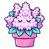 Cute Block Plants