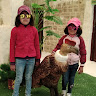 Created by
