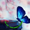 user-avatar
