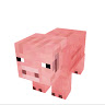 buyer avatar