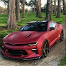 ferfoose598877's Avatar