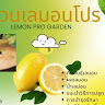 User ID : 228641