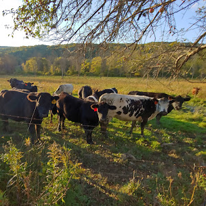 benjamindunton6 - @benjamindunton6 - TikTok