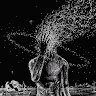 user_ledrb0cqt693x9i0 member profile picture