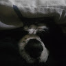 Samy