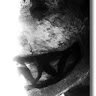 Noiscive avatar