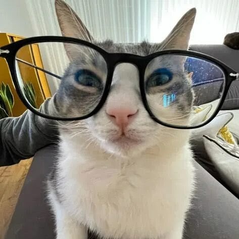 Леван