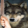 user_tb76tikfyn5rpsb0 member profile picture