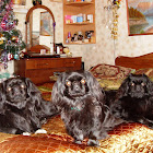 사용자를: марианна осыка