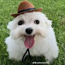 Arturo 