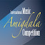 AMIGDALA International Music Competition (Owner)