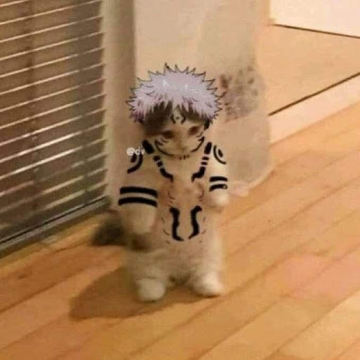 Gio