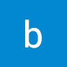 Writer: brand partner