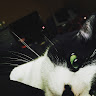 buyer avatar