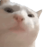 Everett