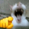 user_n7u4r0y8xwffkql6 member profile picture