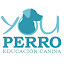 YouPerro Web (Owner)