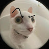 cdQ5WgQPwVQFXMgsSCSdzTRMhD13