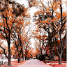 Created by
