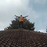 Sutris manthiz