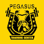 Pegasus Weightlifting