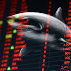 Gebruiker: Andrew Stupakov