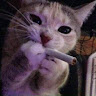 L1TO member profile picture