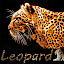 Leopard20 (Owner)