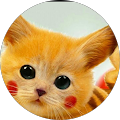 Avatar de Christelle.A
