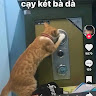 Boy love mãi đỉnk