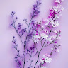 Created by