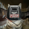 user_iz9izagv457dkh9n member profile picture