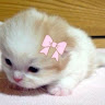 nonu n