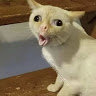 Dương Lương