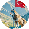 Avatar de Mehmet.O