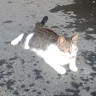 user_ufa0xpizhbewzjzy member profile picture