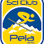 SciClub Peia (Owner)