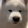 Userej6BCJJk