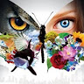 Created by