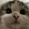 riictee_s1tg