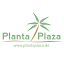 Planta Plaza (擁有者)