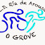 C.D. RIA DE AROUSA DO GROVE (Owner)
