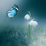 user-avatar